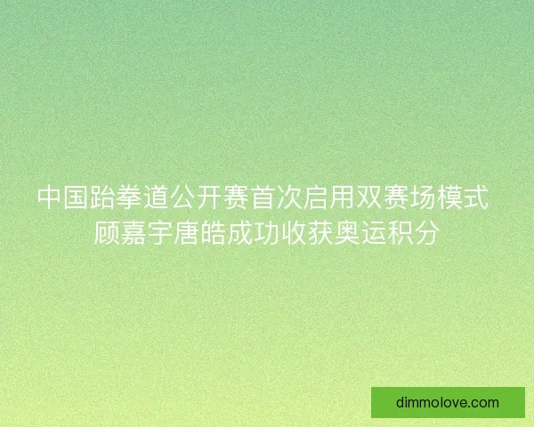 中国跆拳道公开赛首次启用双赛场模式 顾嘉宇唐皓成功收获奥运积分